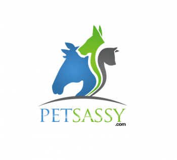 Logo Design entry 630241 submitted by attidk