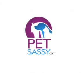 Logo Design entry 630262 submitted by attidk