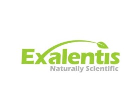 Logo Design entry 610176 submitted by cah_rusak to the Logo Design for Exalentis, Inc. run by Exposure Scientific, LLC
