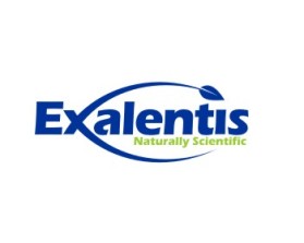 Logo Design entry 610178 submitted by cah_rusak to the Logo Design for Exalentis, Inc. run by Exposure Scientific, LLC
