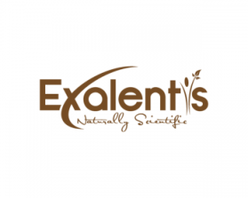 Logo Design entry 610230 submitted by cah_rusak to the Logo Design for Exalentis, Inc. run by Exposure Scientific, LLC