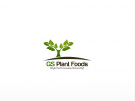 Logo Design entry 615584 submitted by anshu_0590