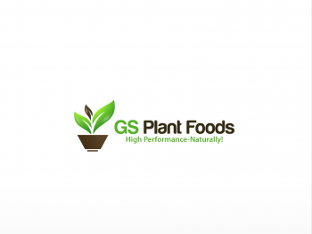 Logo Design entry 636759 submitted by anshu_0590