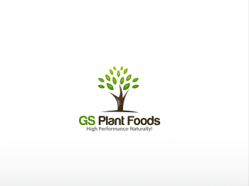 Logo Design entry 638142 submitted by anshu_0590