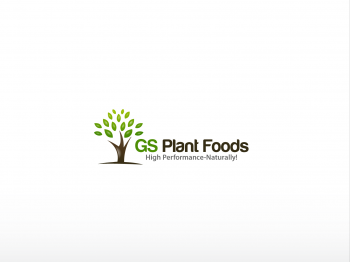 Logo Design entry 638143 submitted by anshu_0590
