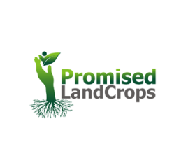 Logo Design entry 619164 submitted by shabrinart2 to the Logo Design for Promised Land Crops  run by mfuquay