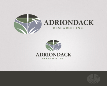Logo Design entry 629587 submitted by quiksilva to the Logo Design for Adirondack Research, Inc. run by ezwear1