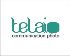 Logo Design entry 637668 submitted by deesquared81 to the Logo Design for telaio run by telaio
