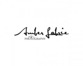 Logo Design entry 640282 submitted by JodyCoyote to the Logo Design for Amber Lynette Labrie Photography (A.L.L. Photography) run by labrie22