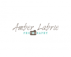 Logo Design entry 640283 submitted by iCon to the Logo Design for Amber Lynette Labrie Photography (A.L.L. Photography) run by labrie22