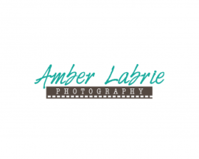 Logo Design entry 640285 submitted by iCon to the Logo Design for Amber Lynette Labrie Photography (A.L.L. Photography) run by labrie22