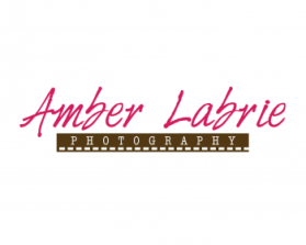 Logo Design entry 640288 submitted by JodyCoyote to the Logo Design for Amber Lynette Labrie Photography (A.L.L. Photography) run by labrie22