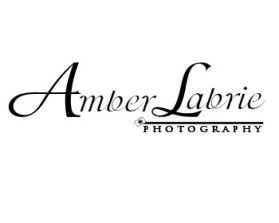Logo Design Entry 640304 submitted by Pogo Girl to the contest for Amber Lynette Labrie Photography (A.L.L. Photography) run by labrie22