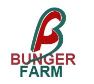Logo Design Entry 652279 submitted by vickyverma to the contest for Bunger Farms run by jennbunger