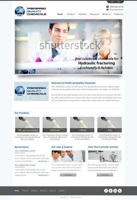 Web Design entry 653402 submitted by wirepaper to the Web Design for Preferred Quality Chemicals, LLC run by Mike4043