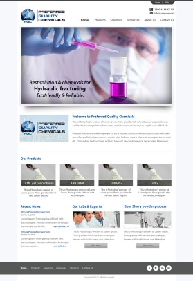 Web Design entry 653403 submitted by wirepaper to the Web Design for Preferred Quality Chemicals, LLC run by Mike4043