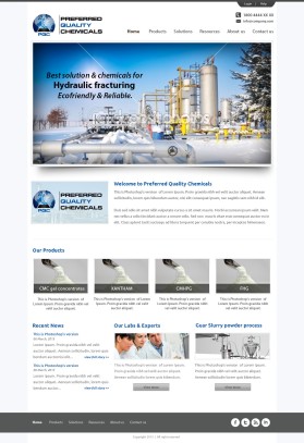 Web Design entry 653404 submitted by avi to the Web Design for Preferred Quality Chemicals, LLC run by Mike4043