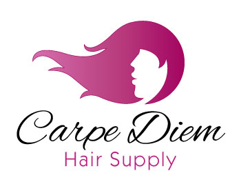 Logo Design entry 653682 submitted by debo243 to the Logo Design for Carpe Diem Hair Supply LLC run by tsimon1