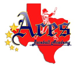 Logo Design entry 659168 submitted by si9nzation to the Logo Design for AcesBaseballAcademy.com run by aces baseball