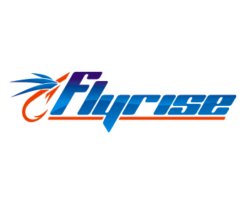 Logo Design entry 659481 submitted by nerdsociety to the Logo Design for FLYRISE run by cbmacon3
