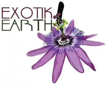 Logo Design entry 660194 submitted by IMFantasia to the Logo Design for Exotik Earth run by TTDivine