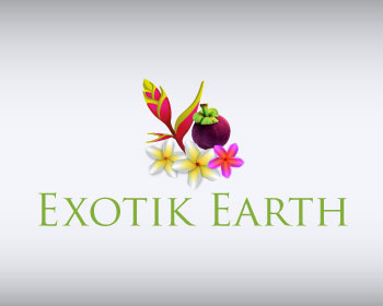 Logo Design entry 660229 submitted by civilizacia to the Logo Design for Exotik Earth run by TTDivine