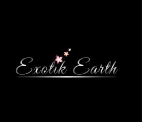 Logo Design entry 660230 submitted by AbReQ to the Logo Design for Exotik Earth run by TTDivine