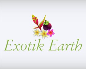 Logo Design entry 660252 submitted by SIRventsislav to the Logo Design for Exotik Earth run by TTDivine