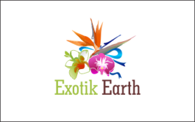Logo Design Entry 660269 submitted by joa to the contest for Exotik Earth run by TTDivine