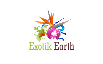 Logo Design entry 660269 submitted by joa to the Logo Design for Exotik Earth run by TTDivine