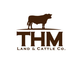Logo Design entry 660334 submitted by buboy143 to the Logo Design for THM Land & Cattle Company run by ThmCattle