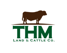 Logo Design entry 660375 submitted by buboy143 to the Logo Design for THM Land & Cattle Company run by ThmCattle
