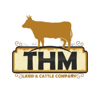 Logo Design entry 660406 submitted by avi to the Logo Design for THM Land & Cattle Company run by ThmCattle