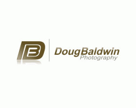Logo Design entry 667863 submitted by Rolis to the Logo Design for Doug Baldwin Photography run by derkylspo