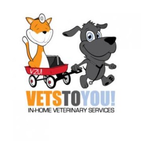 Logo Design entry 671179 submitted by CharlieBrown to the Logo Design for Vets to YOU! run by Doggydoc72