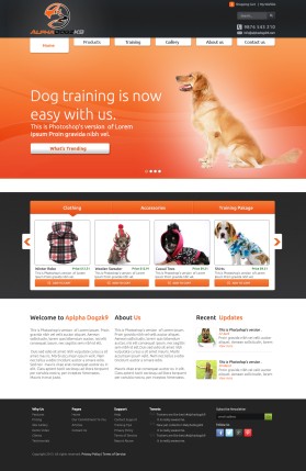 Web Design entry 680533 submitted by wirepaper