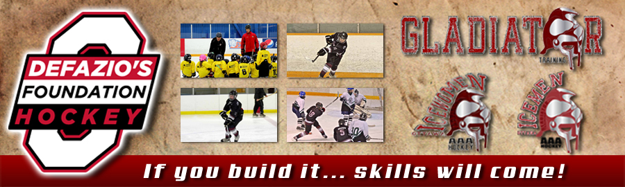 Banner Ad Design entry 684738 submitted by airish.designs to the Banner Ad Design for http://www.foundationhockey.com/ run by dnsnetworks