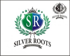 Logo Design entry 689267 submitted by offerwerks to the Logo Design for silver roots yardscapes run by srootsyrd