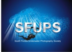 Logo Design entry 697358 submitted by rendraG to the Logo Design for South Florida Underwater Photography Society run by SFUPS