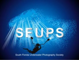 Logo Design entry 697361 submitted by Ddezine to the Logo Design for South Florida Underwater Photography Society run by SFUPS
