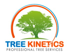 Logo Design entry 700202 submitted by lp_barcenas to the Logo Design for Tree Kinetics run by treekinetics