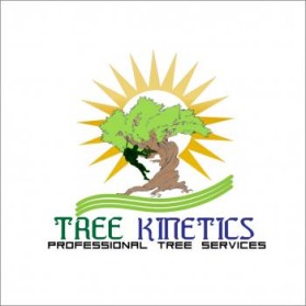 Logo Design Entry 700251 submitted by desinlog to the contest for Tree Kinetics run by treekinetics
