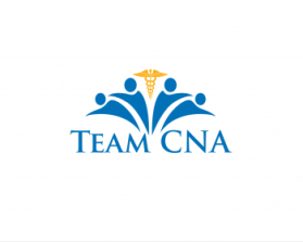 Logo Design entry 700357 submitted by LeAnn to the Logo Design for Team CNA run by MacNeill84