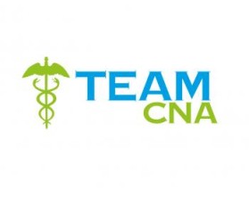 Logo Design entry 700358 submitted by luckydesign to the Logo Design for Team CNA run by MacNeill84