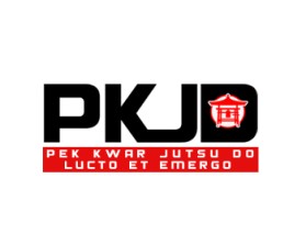 Logo Design entry 701150 submitted by lp_barcenas to the Logo Design for Pek Kwar Jutsu Do run by zzerrouk