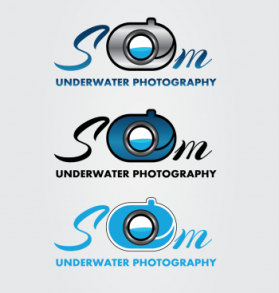 Logo Design entry 735423 submitted by ovais11