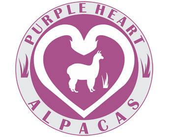 Logo Design entry 727181 submitted by korey17 to the Logo Design for Purple Heart Alpacas run by PacaTan