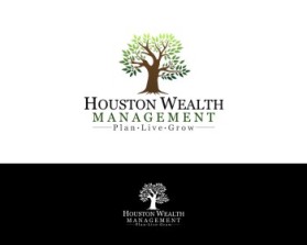 Logo Design entry 742412 submitted by igor1408 to the Logo Design for Houston Wealth Management run by CAP222