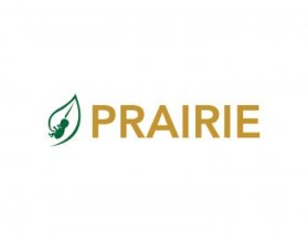 Logo Design entry 765255 submitted by Kangaroosek to the Logo Design for PRAIRIE run by Prairie
