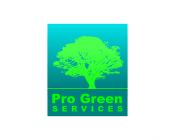 Logo Design entry 765256 submitted by TKODesigns to the Logo Design for Pro Green Services run by RLokken